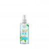 Fresh Skinlab Jeju Aloe Ice Face and Body Mist